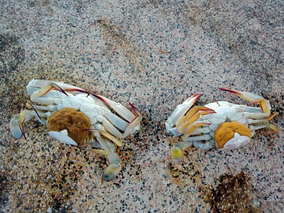 blog-11
